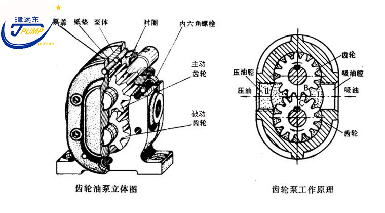 2CG硬齿面渣油泵剖析图